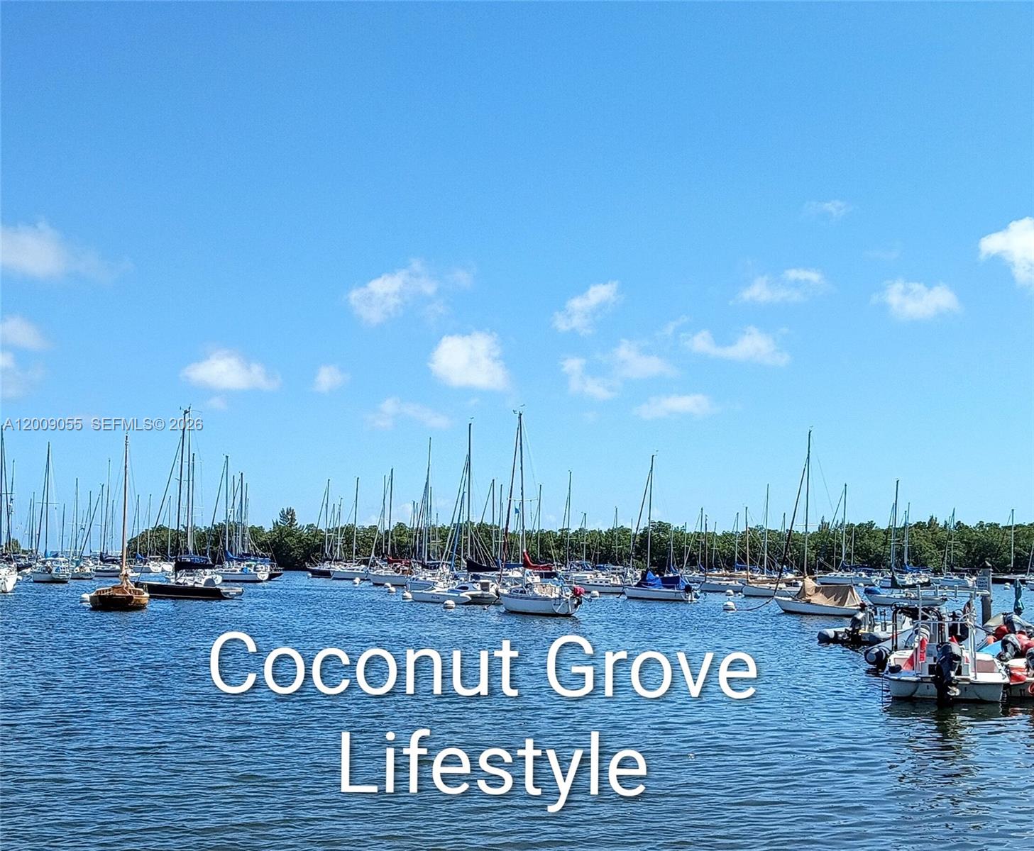 Many sailboats are moored in a harbor under a clear blue sky — 3304 Virginia St # 3D, Miami FL 33133, MIAMI, FL