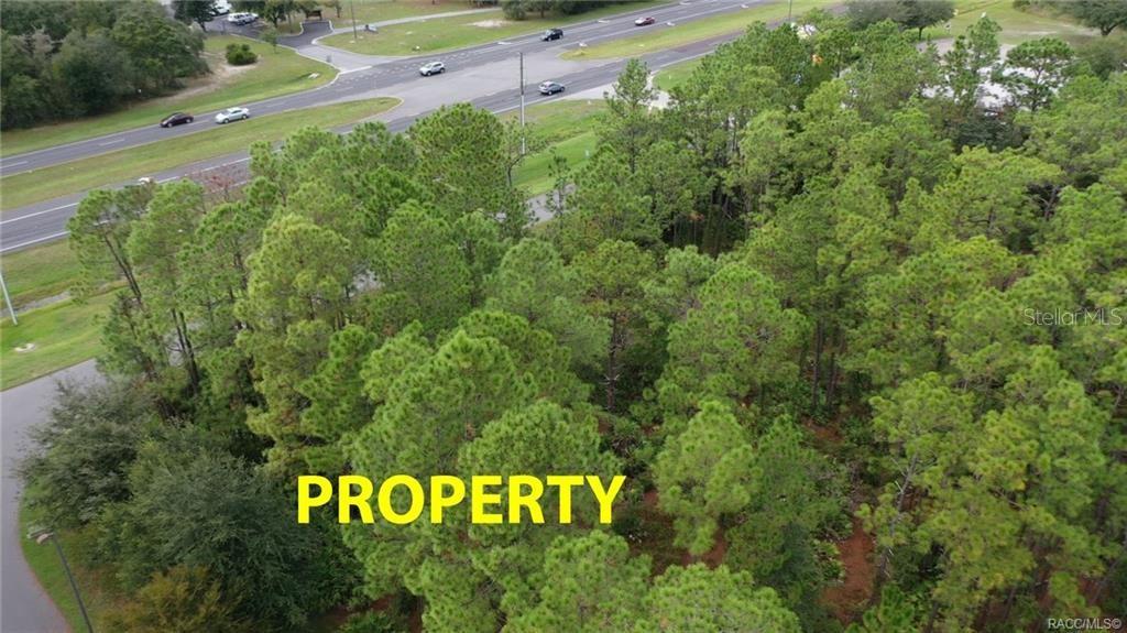 An aerial view shows a wooded lot located next to a multi-lane road — 7929 S SUNCOAST BOULEVARD, HOMOSASSA, FL