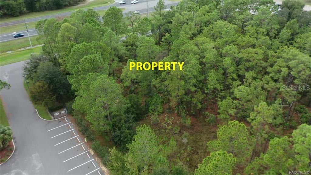 An aerial view shows a wooded lot adjacent to a paved parking area and road — 7929 S SUNCOAST BOULEVARD, HOMOSASSA, FL