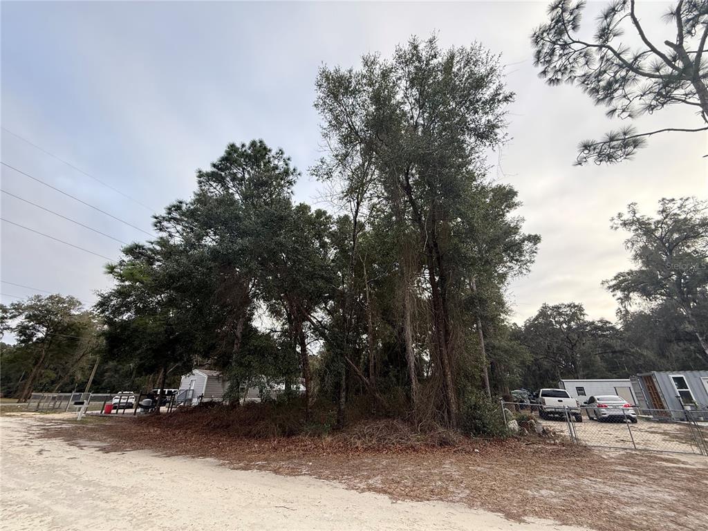 SE 147 PLACE, SUMMERFIELD, FL — photo 2 of 4