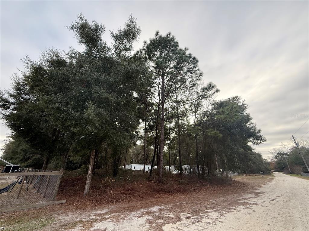 SE 147 PLACE, SUMMERFIELD, FL — photo 3 of 4
