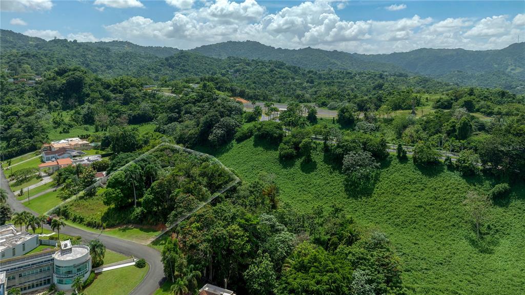 An aerial view shows a vacant, tree-covered lot situated on a hillside near a road — Lot-C42/43 VALLE ESCONDIDO, GUAYNABO, PR