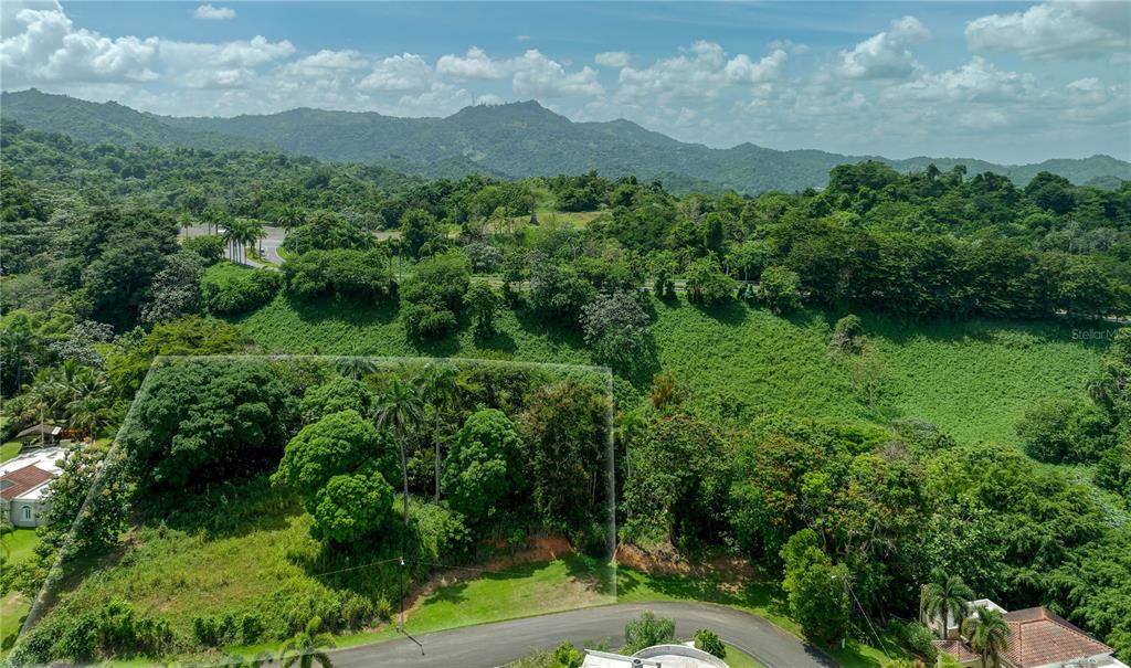 An aerial view shows a sloped, tree-covered vacant lot bordered by a road and mountains — Lot-C42/43 VALLE ESCONDIDO, GUAYNABO, PR