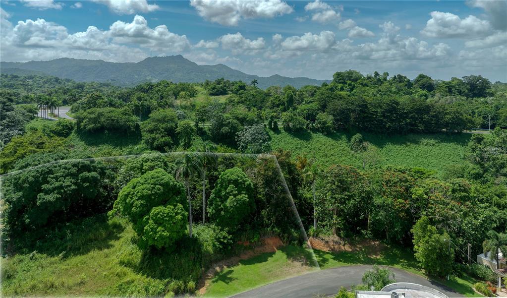An aerial view shows a grassy lot bordered by dense trees and distant mountains — Lot-C42/43 VALLE ESCONDIDO, GUAYNABO, PR