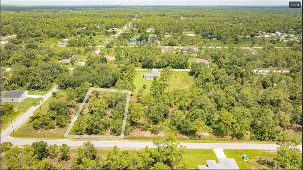 An aerial view shows a rectangular vacant lot outlined in white amidst a wooded area — 1420 CLAYTON AVENUE, LEHIGH ACRES, FL