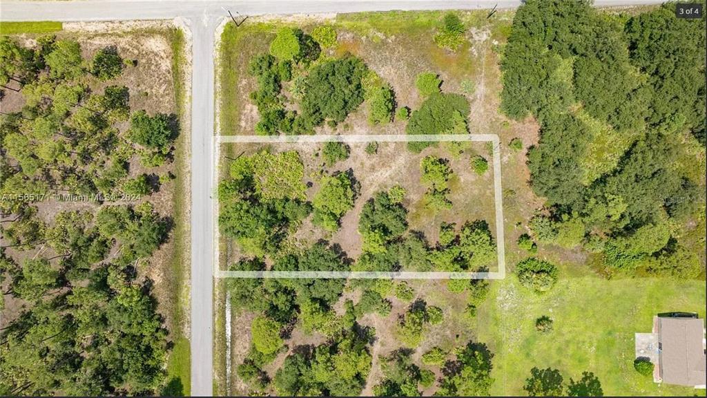 An aerial view shows a rectangular plot of land with trees and brush near a road — 1420 CLAYTON AVENUE, LEHIGH ACRES, FL