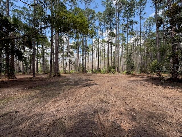 A cleared, dirt-covered lot is surrounded by tall pine trees under a blue sky — 9TH AVENUE, DELAND, FL