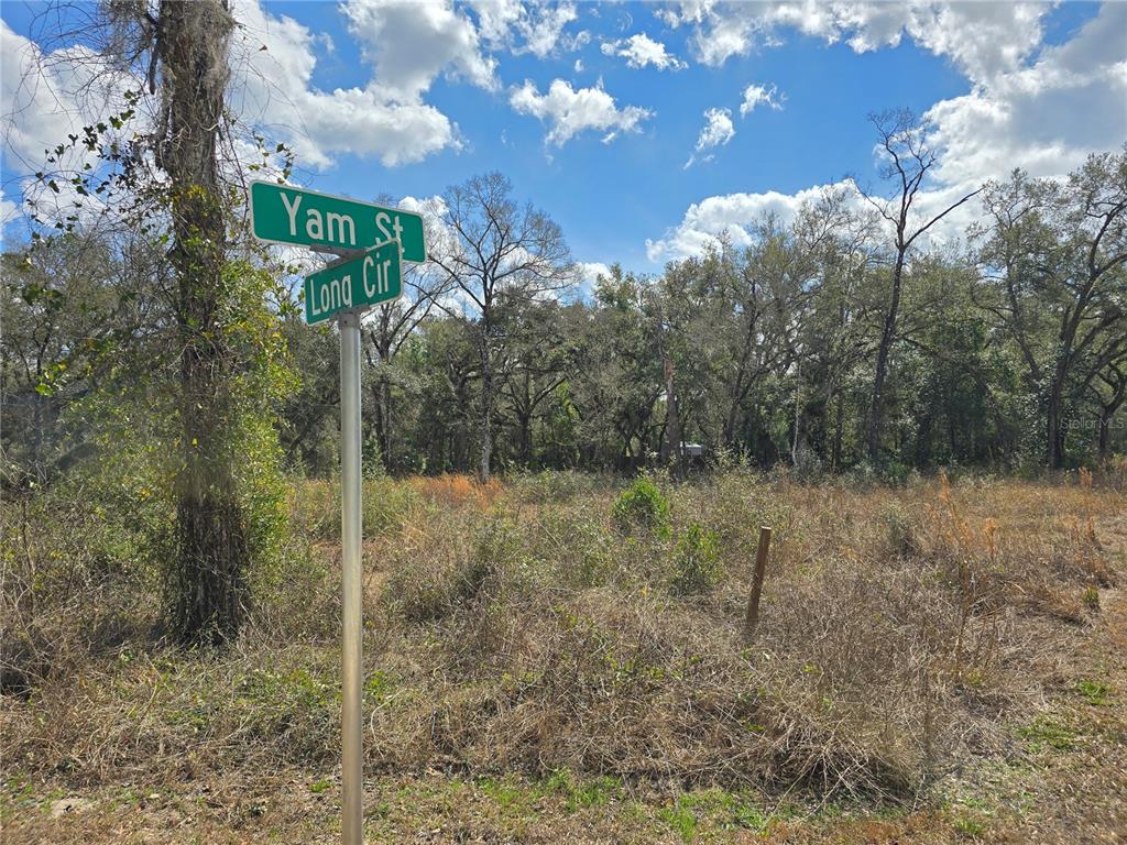 A street sign for Yam St and Long Cir stands before a vacant, brush-covered lot — 6436 YAM STREET, WEBSTER, FL