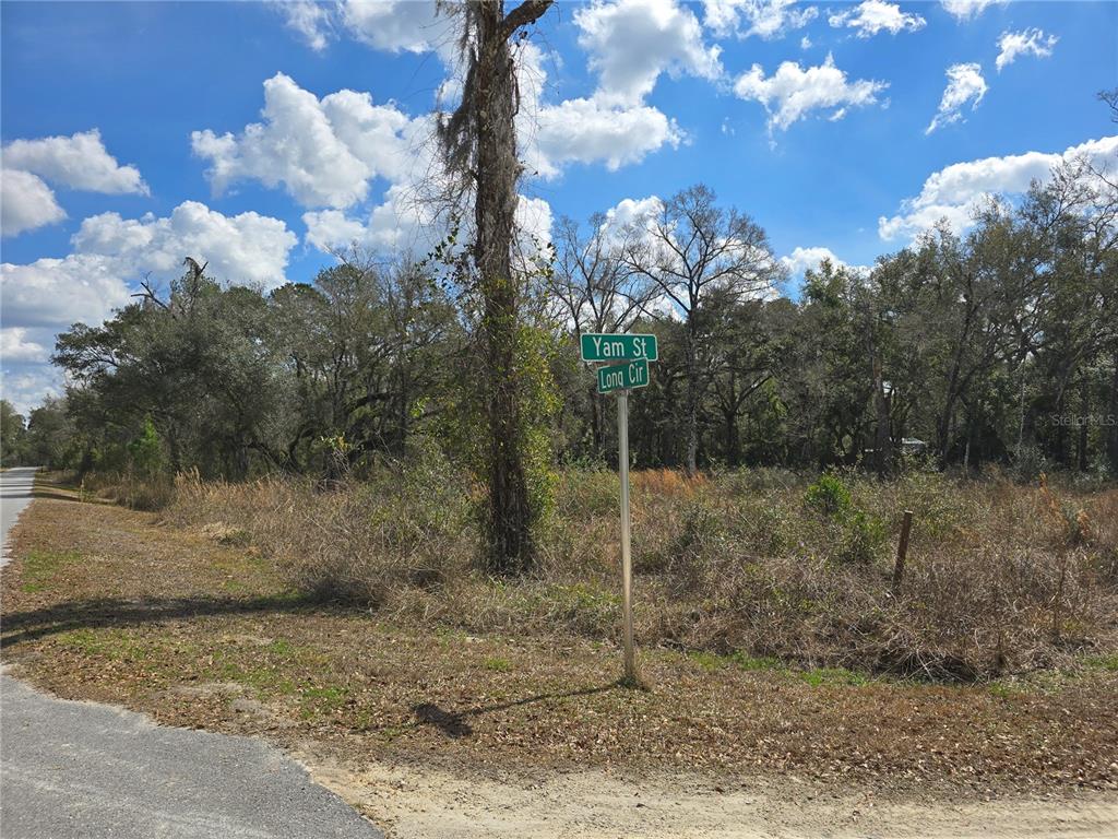 A street sign at the corner of Yam Street and Long Circle stands near woods — 6436 YAM STREET, WEBSTER, FL