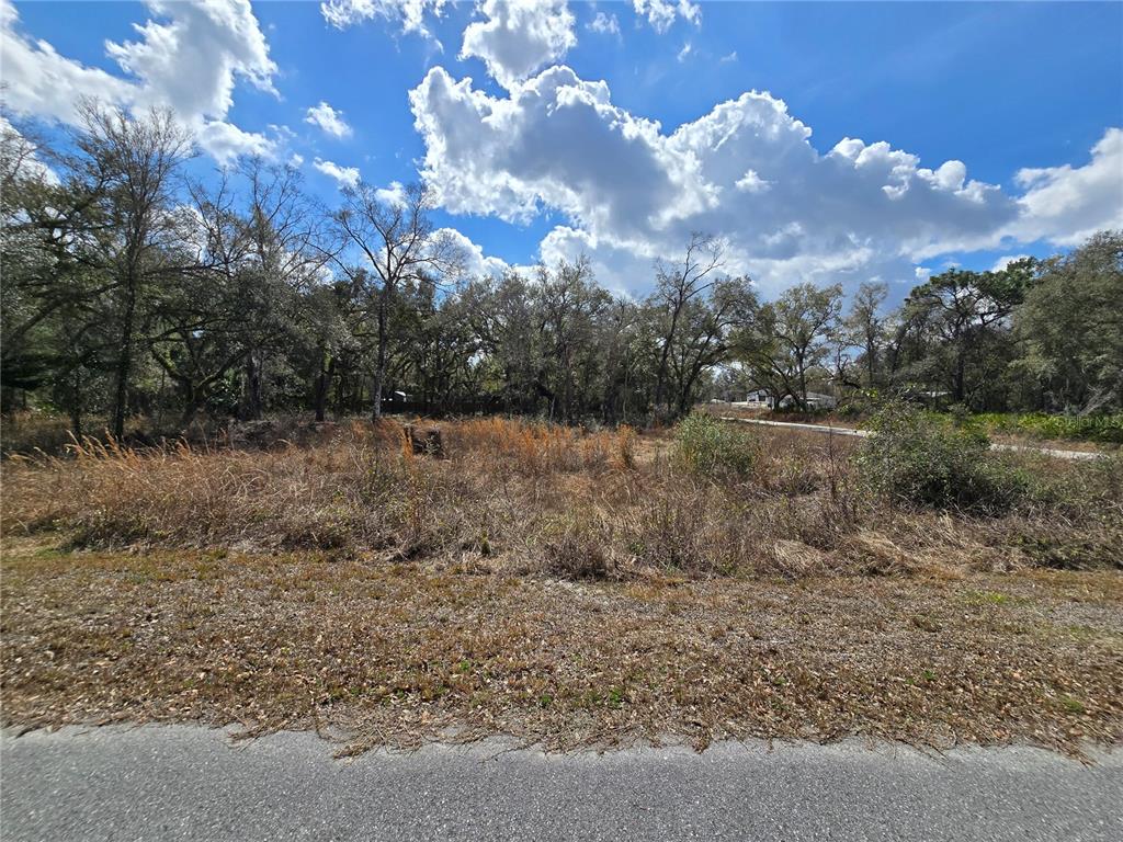 A vacant, grassy lot with scattered trees under a blue sky with white clouds — 6436 YAM STREET, WEBSTER, FL