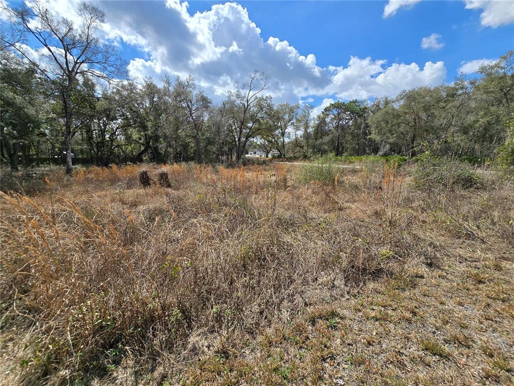 A vacant, grassy lot with scattered trees under a blue sky with white clouds — 6436 YAM STREET, WEBSTER, FL