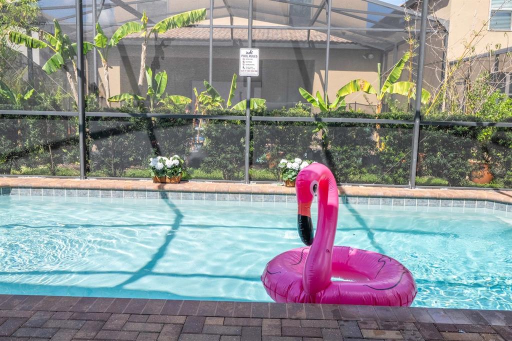 A pink flamingo pool float sits in a swimming pool enclosed by a screen cage — 8877 BENGAL COURT, KISSIMMEE, FL