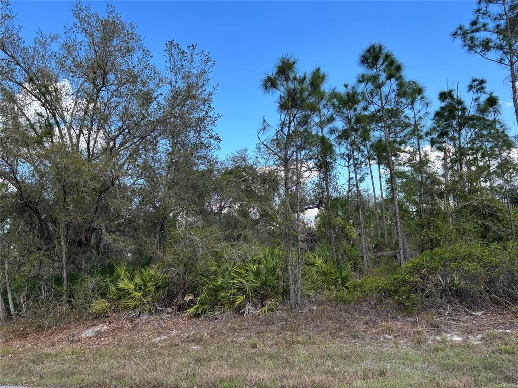 A wooded lot features tall pine trees, oak trees, and low-lying palmetto bushes — 74 BALDUR DRIVE, PORT CHARLOTTE, FL