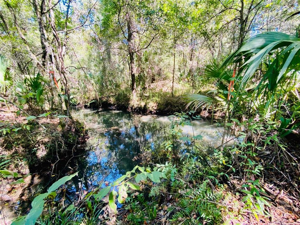 A small, clear stream flows through a wooded area with lush green vegetation and trees — 9302 W TALL PINES COURT, CRYSTAL RIVER, FL