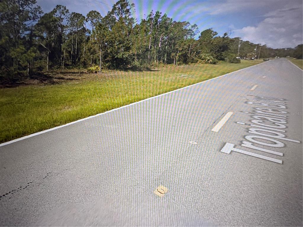 A paved road runs alongside a grassy, wooded vacant lot under a partly cloudy sky — TROPICAIRE BOULEVARD, NORTH PORT, FL