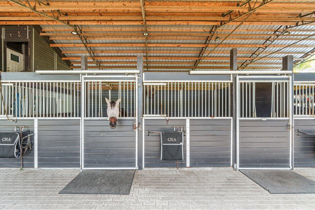 A horse stands in a stall within a stable featuring dark wood walls and metal grates — 2587 Skipiks Way, Wellington FL 33470, WELLINGTON, FL