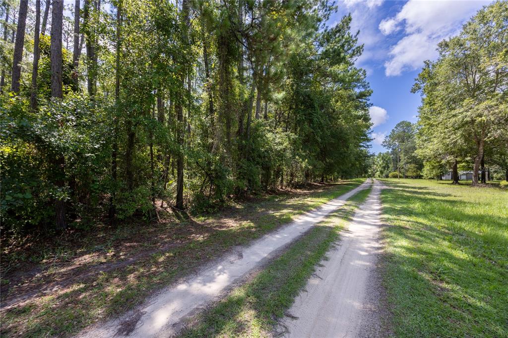 A dirt road runs alongside a dense forest under a blue sky with clouds — 0 SE HAWTHORNE ROAD, HAWTHORNE, FL