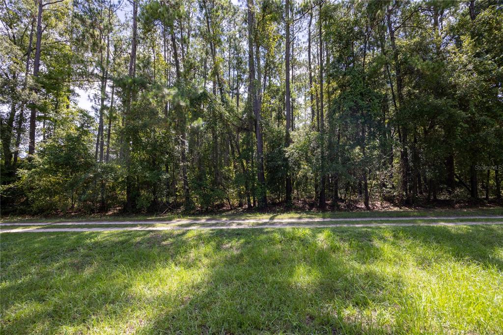 A grassy lot features a dirt path leading to a dense forest of tall trees — 0 SE HAWTHORNE ROAD, HAWTHORNE, FL
