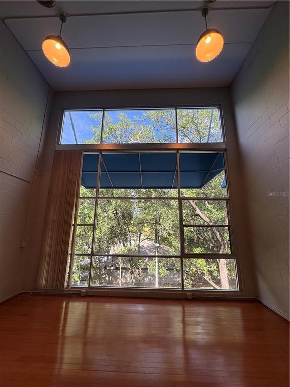 A room with high ceilings, hardwood floors, and a large window featuring a blue awning — 2515 SW 35TH PLACE UNIT 209, GAINESVILLE, FL
