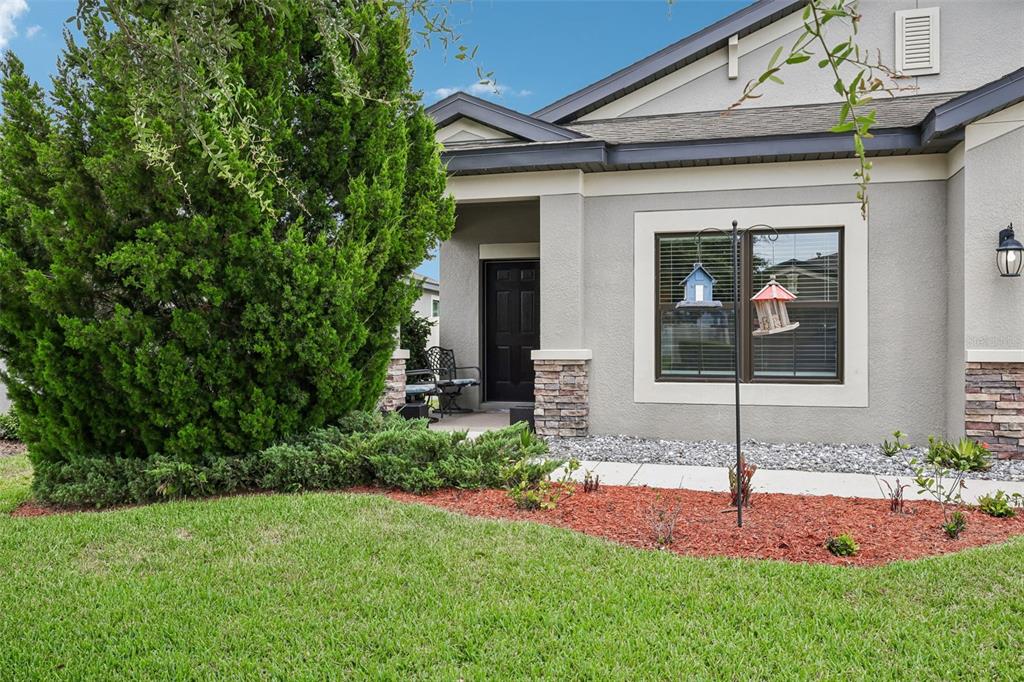 The exterior of a house features a front entrance, a large evergreen tree, and landscaping — 8210 MALLOW MIRROR LANE, LAND O LAKES, FL