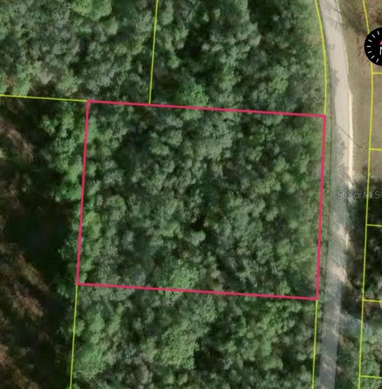 An aerial view shows a rectangular, wooded plot of land outlined in pink — 34253 BERRYHILL DRIVE, WEBSTER, FL