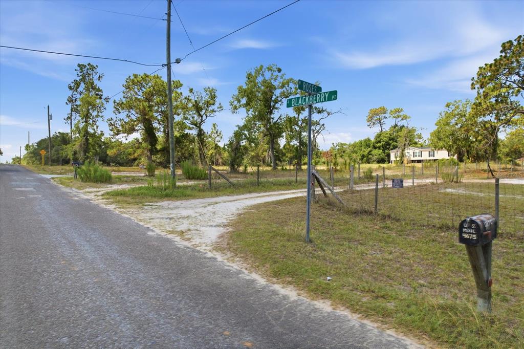 A dirt driveway leads into a vacant lot at the corner of two street signs — 4675 W ROSES COURT, HOMOSASSA, FL