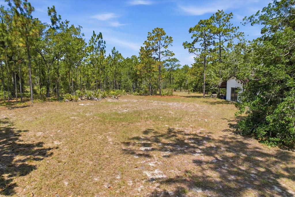 A grassy clearing is surrounded by pine trees with a small shed on the right — 4675 W ROSES COURT, HOMOSASSA, FL