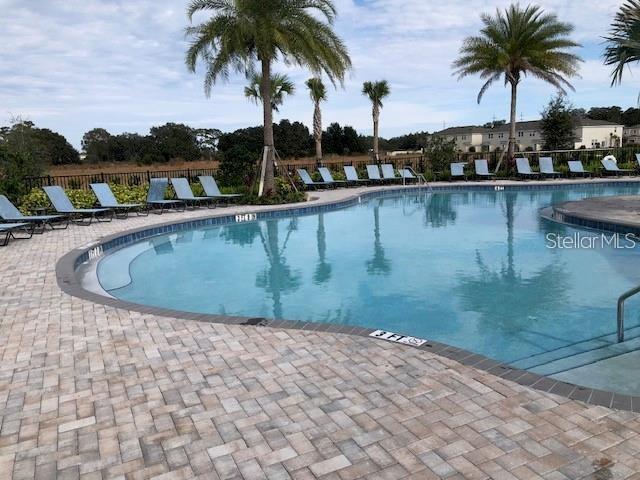 A swimming pool with lounge chairs on a brick deck surrounded by palm trees — 2313 ALEE LANE, WESLEY CHAPEL, FL