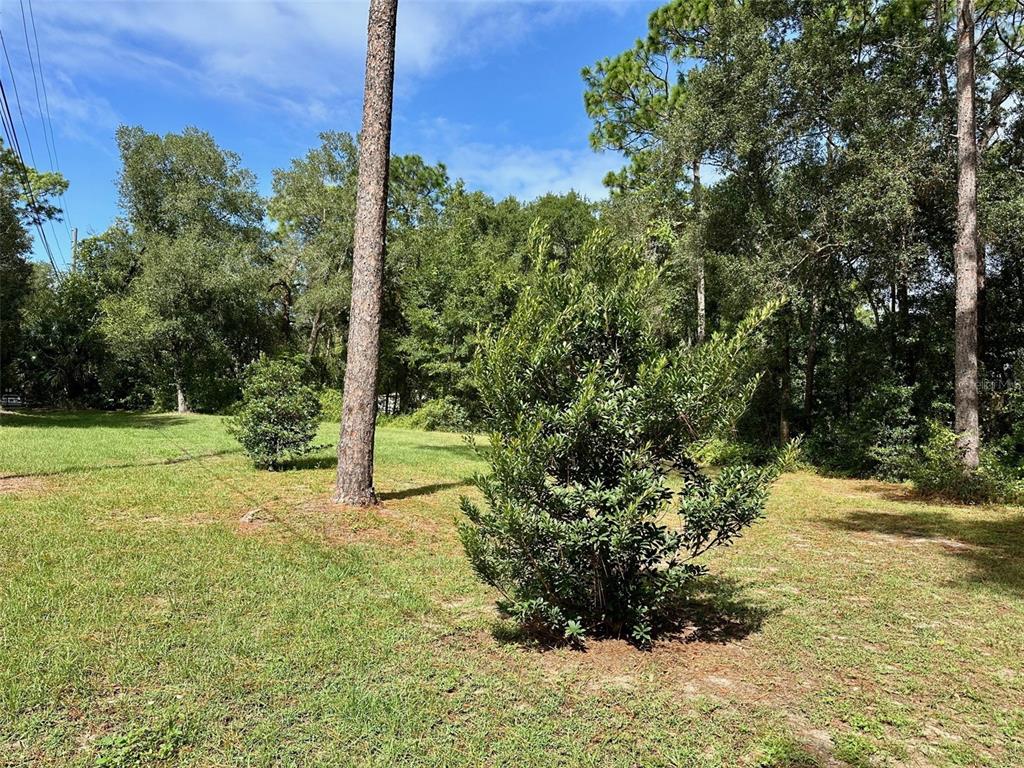 N THOMPSON ROAD, APOPKA, FL — photo 5 of 8