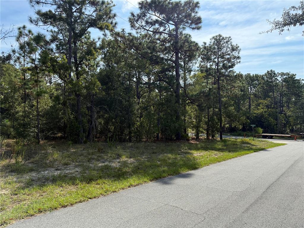 A paved road runs alongside a vacant, wooded lot with pine trees and sandy ground — 9339 N MILAM WAY, CITRUS SPRINGS, FL