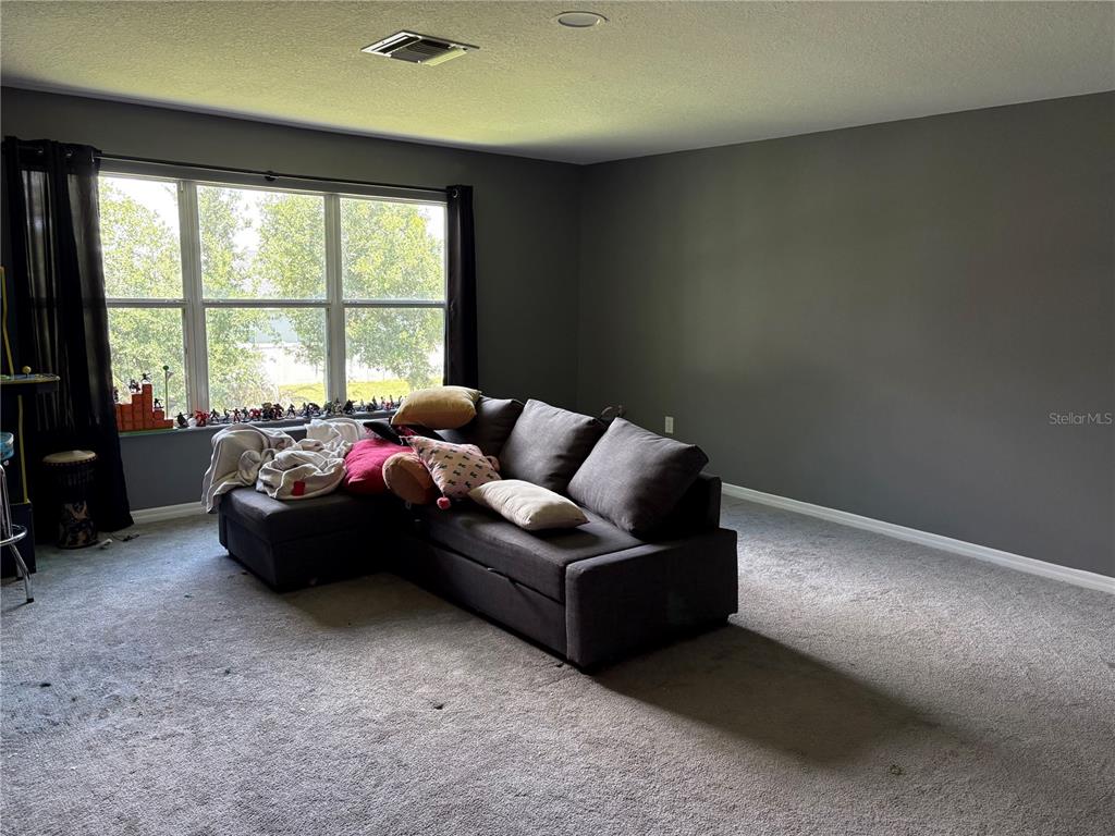 A living room features gray carpet, dark walls, a sectional sofa, and a large window — 12332 BELCROFT DRIVE, RIVERVIEW, FL