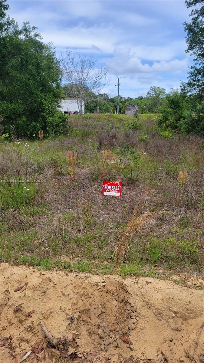 A vacant, grassy lot features a red for sale sign in the foreground — 0 Lenore Ave, Palatka FL 32148, PALATKA, FL