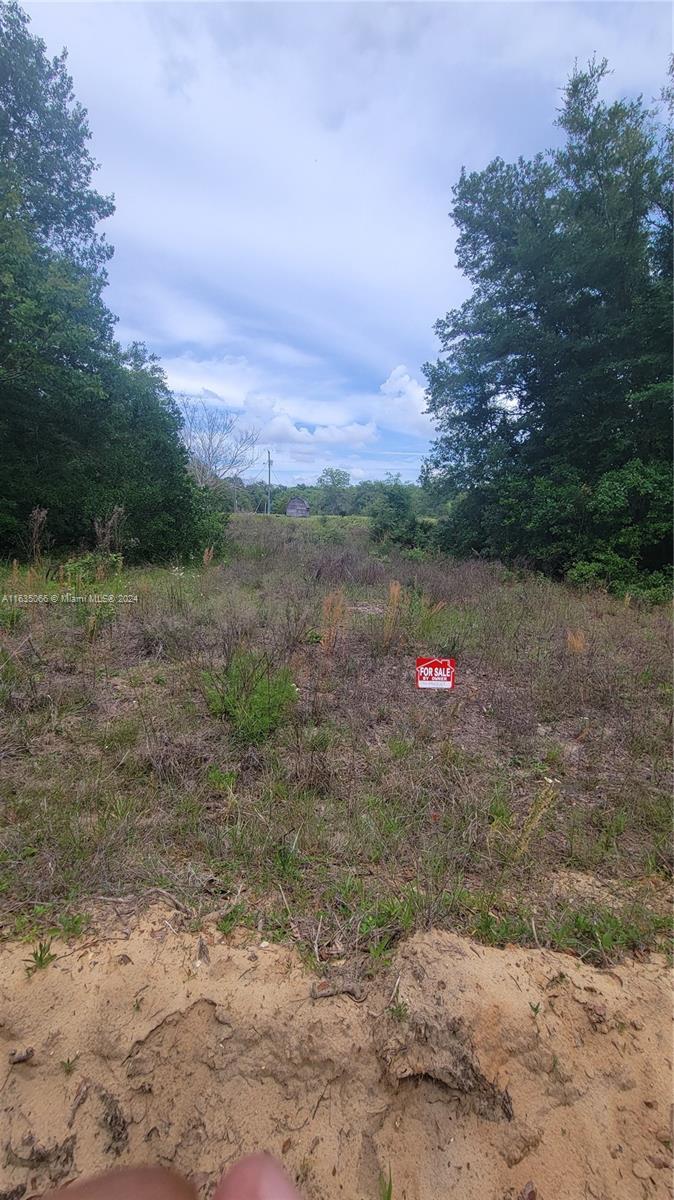 A vacant, grassy lot is framed by trees under a cloudy sky with a for-sale sign — 0 Lenore Ave, Palatka FL 32148, PALATKA, FL