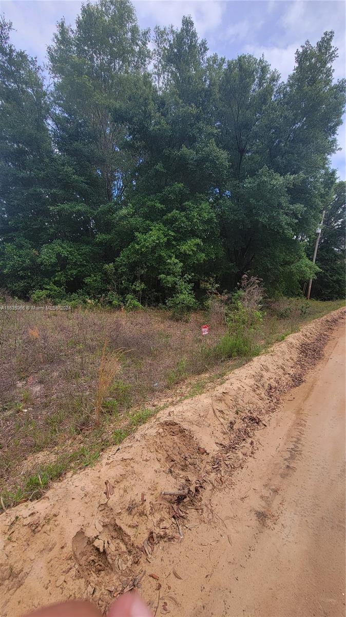 A dirt road runs alongside a vacant, wooded lot with a small red sign — 0 Lenore Ave, Palatka FL 32148, PALATKA, FL