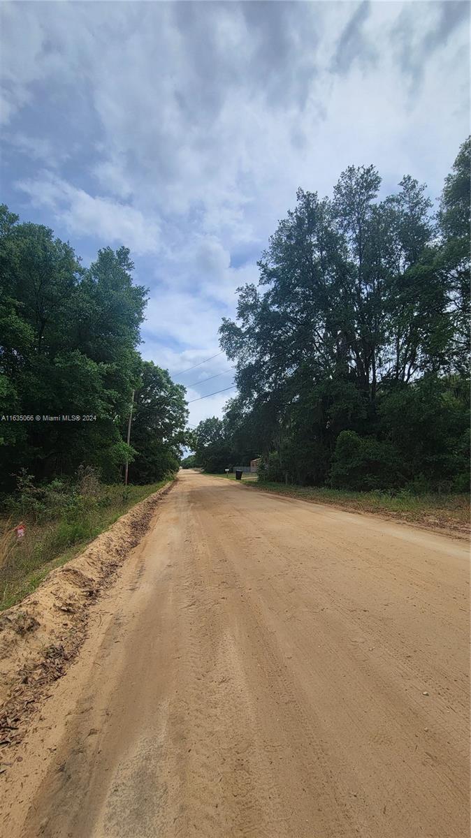 A dirt road stretches between dense trees under a cloudy sky — 0 Lenore Ave, Palatka FL 32148, PALATKA, FL