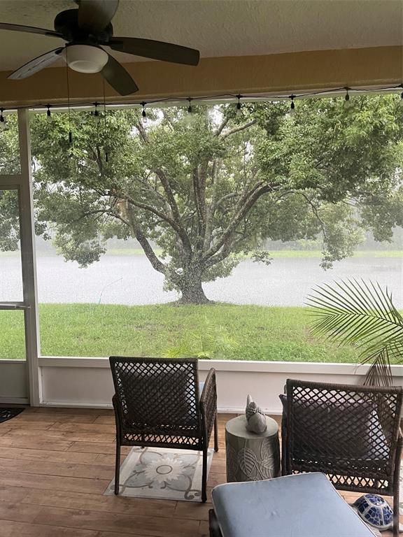 A screened-in porch with wicker chairs overlooks a grassy yard, a large tree, and water — 30335 LETTINGWELL CIRCLE, WESLEY CHAPEL, FL
