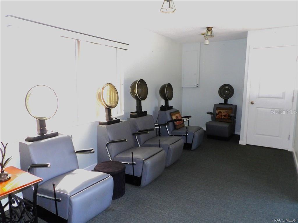 A room features several vintage salon hair dryers mounted behind gray upholstered chairs — 3822 E PARSONS POINT ROAD, HERNANDO, FL