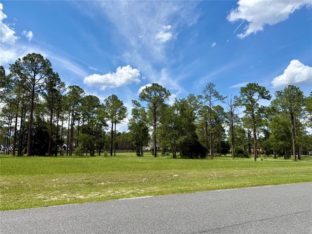 35135 PINEGATE TRAIL, EUSTIS, FL — photo 4 of 28
