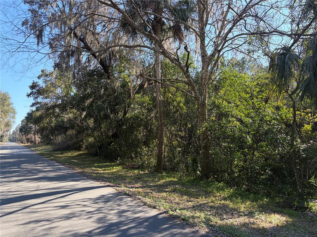 A paved road runs alongside a wooded lot with dense trees and vegetation — Lot 15 QUEBEC AVENUE, DE LEON SPRINGS, FL