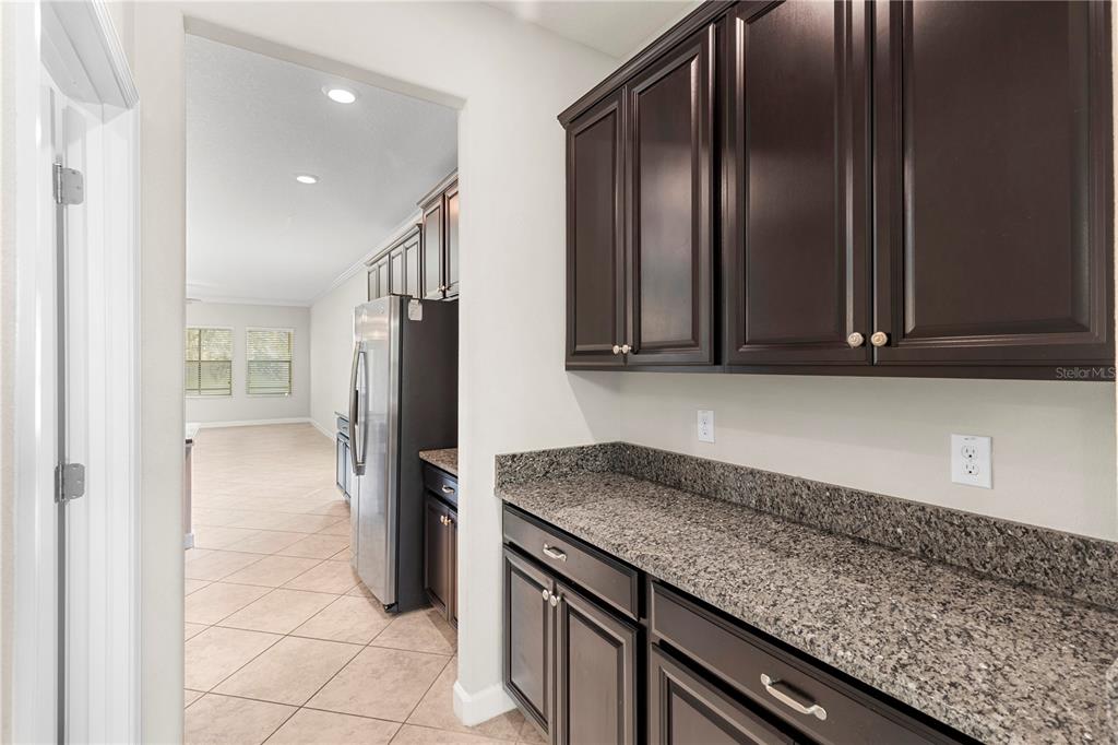 A kitchen butler's pantry features dark wood cabinets, granite countertops, and tile flooring — 3147 CALVANO DRIVE, LAND O LAKES, FL