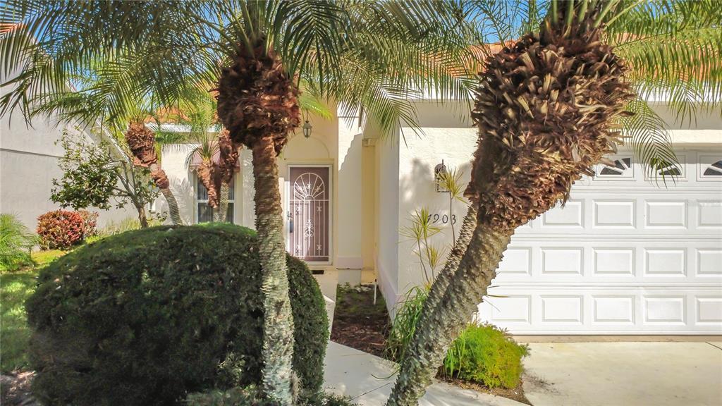 4903 TAMARACK TRAIL