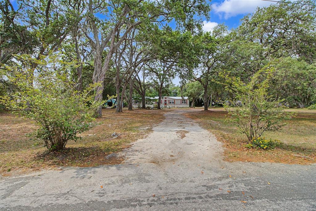 A single-story house sits in a grassy yard shaded by large, moss-draped oak trees — 8186 E WINDSONG STREET, FLORAL CITY, FL