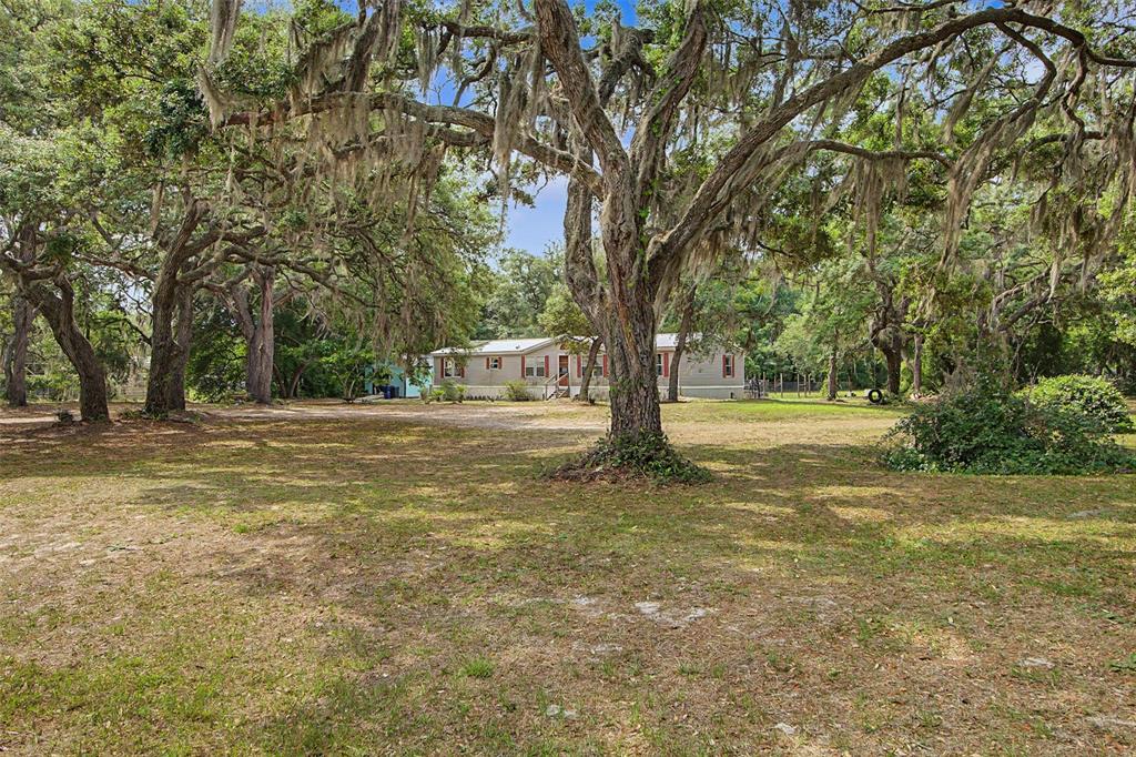 A single-story manufactured home sits on a sandy, tree-filled lot with a detached shed nearby — 8186 E WINDSONG STREET, FLORAL CITY, FL
