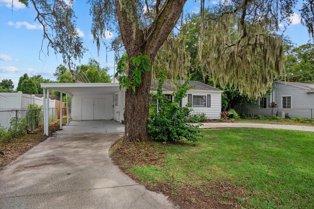 A white house with a carport and a large tree in the front yard — 305 E BOUGAINVILLEA AVENUE, TAMPA, FL
