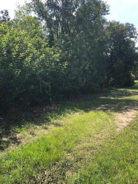 A grassy path leads alongside a dense line of trees and shrubs — 13358 CAPPY TERRACE, PUNTA GORDA, FL