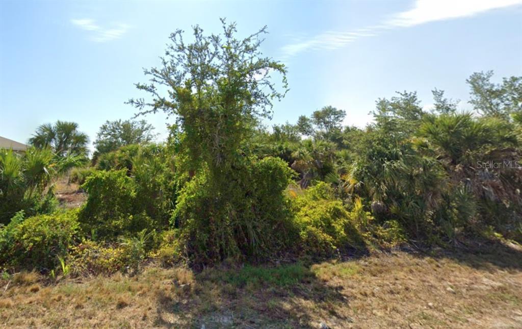 A vacant, overgrown lot features dense green vegetation, shrubs, and a central tree — 9533 PRESIDENT CIRCLE, PORT CHARLOTTE, FL