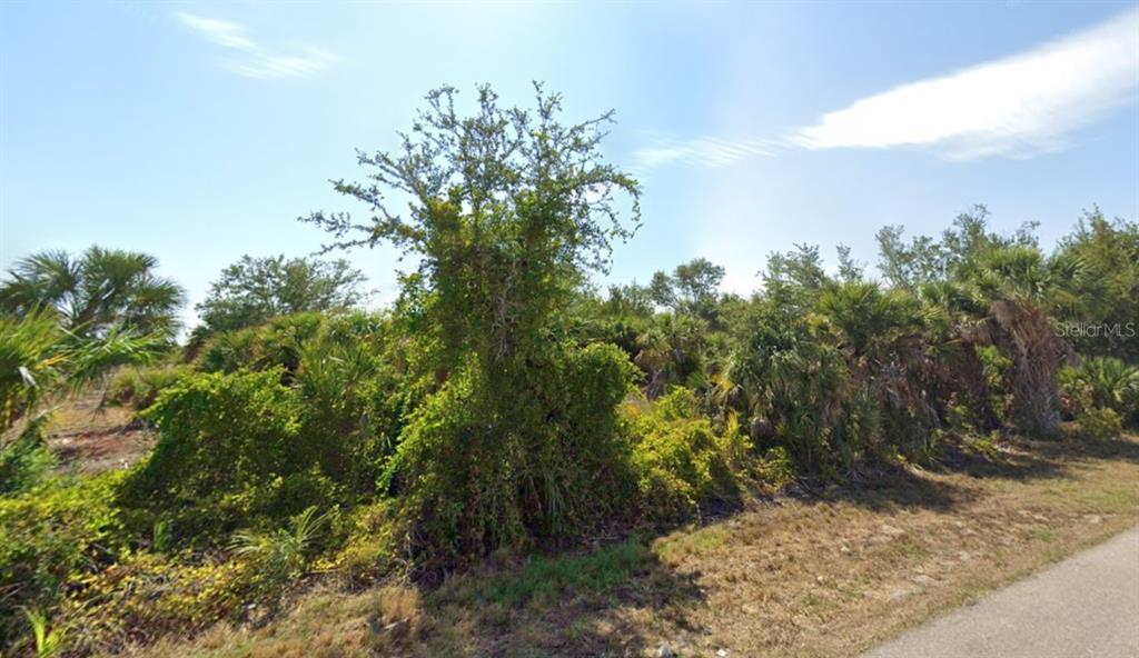 A vacant, overgrown lot with trees and shrubs sits next to a paved road — 9533 PRESIDENT CIRCLE, PORT CHARLOTTE, FL