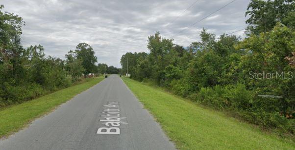 A paved road stretches through a rural area with dense trees and grass on both sides — 3332 BABBITT AVENUE, ORLANDO, FL