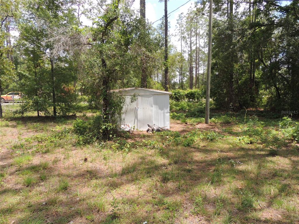 A metal storage shed sits in a wooded, grassy lot with a utility pole nearby — 250 NE 131ST AVENUE, WILLISTON, FL