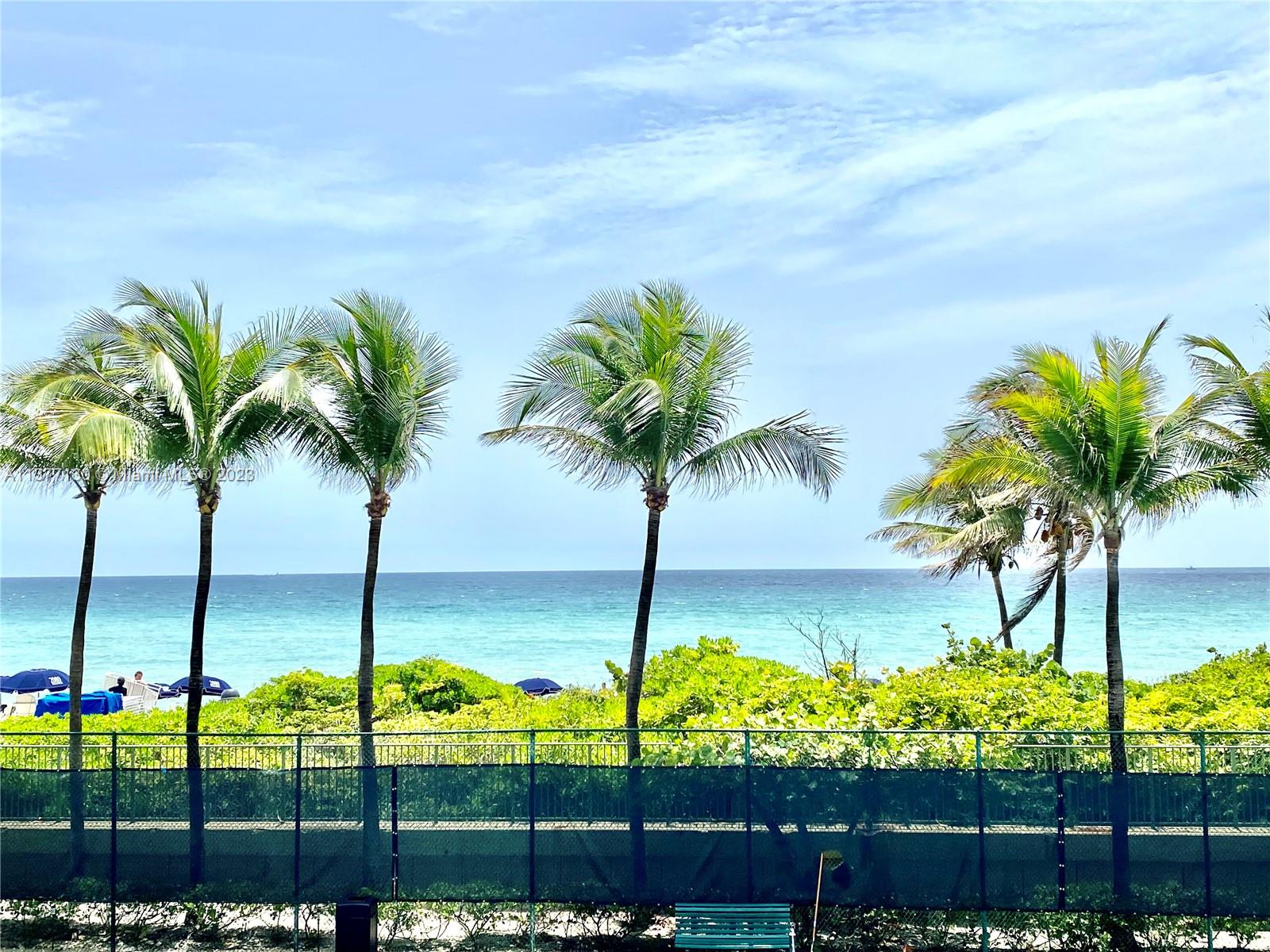 A view of palm trees, lush greenery, and the ocean behind a dark mesh fence — 2080 S Ocean Dr # 111, Hallandale Beach FL 33009, HALLANDALE BEACH, FL